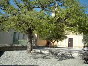 Peillon - Piazza acciottolata della Chiesa con i suoi alberi