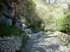 Peillon - Caminho sombreado forrado com íris e uma pequena fonte, oliveiras no fundo