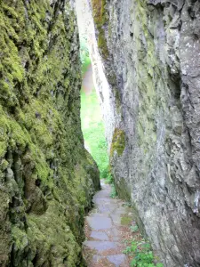 Peña de Carlat - Escalera de la reina excavado en la roca