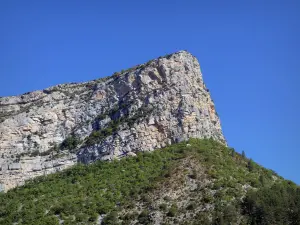 Penhascos de Rémuzat - Paredes de rocha com vista para a vegetação