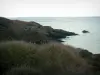 Peninsula of Crozon - Wild coast (côte sauvage) with some shrubs and sea (Iroise sea)