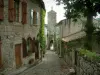 Penne - Geplaveide straat met stenen huizen, bomen, bloemen, planten en draagt ​​de Brug