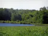 Périgord-Limousin Regional Nature Park - Field, pond and trees