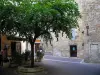 Périgueux - Arbre, terrasse de restaurant et maisons de la vieille ville