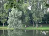 Péronne - Étang bordé d'arbres, parc arboré