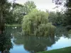 Péronne - Estanque con unos árboles de sauce llorón, parque