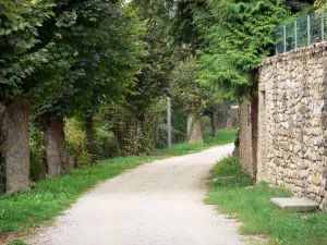 Pérouges - Spazierweg Terreaux gesäumt von Bäumen