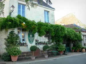 La Perrière - Horbé casa e la sua facciata decorata con un glicine, fiori e arbusti in vaso