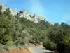 Peyrepertuse castle - Tree-lined road overlooking the fortress perched on its rocky promontory