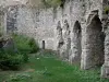 Peyrusseルロク - 中世の遺跡：ノートルダム・ド・ラヴァル旧教会の遺跡