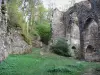 Peyrusse-le-Roc - Site médiéval : ruines de l'ancienne église Notre-Dame-de-Laval