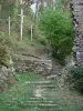 Peyrusse-le-Roc - Site médiéval : vestiges, croix, et sentier bordé de végétation