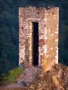 Peyrusse-le-Roc - Medieval site: square tower of Thaluc roc