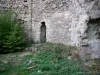 Peyrusse-le-Roc - Medieval site: ruins of the former Notre-Dame-de-Laval church