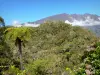 Pico de las Nieves - Vista del Piton des Neiges y Gros Morne desde el sitio verde Bélouve