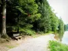Pierre-Percée lake