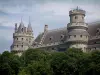 Pierrefonds城堡 - 封建城堡的树和塔