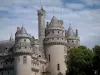 Pierrefonds城堡 - 封建城堡塔，树和多云的天空