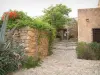 Pigna - Ruelle pavée en escalier avec un mur en pierre orné de plantes et de fleurs, et maisons du village (en Balagne)