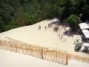 Pilat dune - View of the foot of the dune on the forest side 