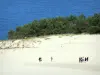 Pilat dune - Tourists walking on the sand dune 