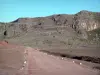 Piton de la Fournaise peak - Volcano forest road crossing the Sables plain