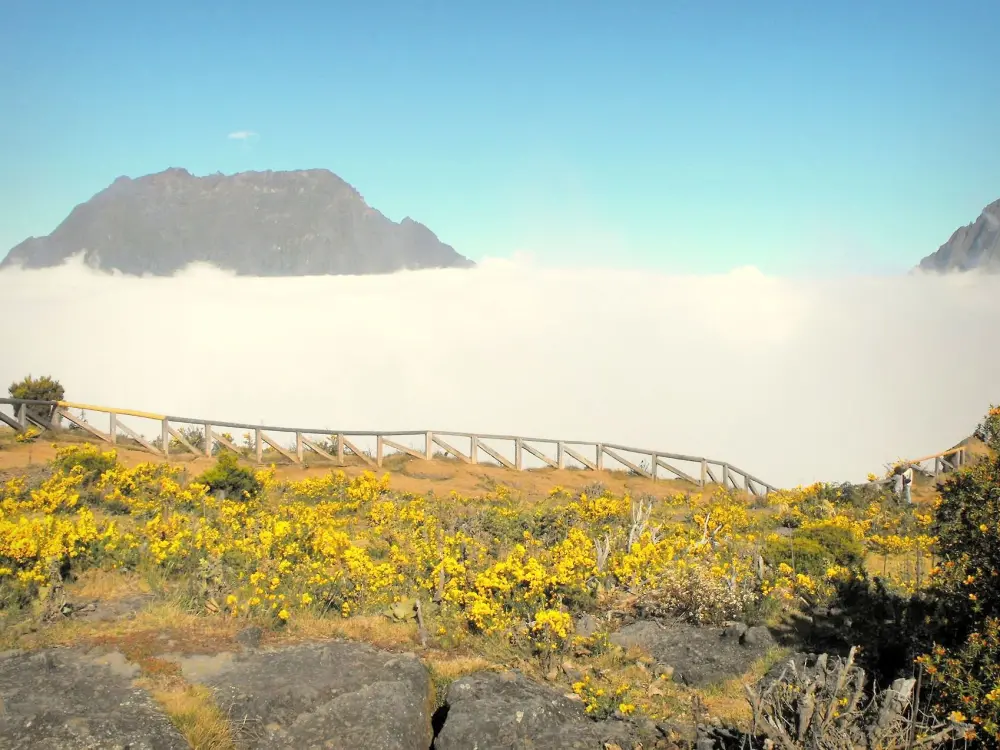 Photos Le piton des Neiges Guide Tourisme & Vacances