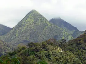 Pitons du Carbet - Regional Park of Martinique: view of the green solid pitons Carbet