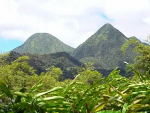 Pitons du Carbet - View of the green massif Carbet peaks from the garden Balata