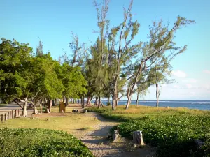 Plage de l'Ermitage - Strand bezaaid met bomen