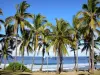 Plage de Grande Anse - Cocotiers de la plage de Grande Anse, avec vue sur l'océan Indien ; sur la commune de Petite-Île
