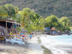 Plage de Grande Anse d'Arlet - Relaxing on the sandy beach lined with coconut trees; in the town of Anse d'Arlet