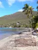 Plage de Grande Anse d'Arlet - Casiers de pêche sur la plage de sable