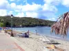 Plage de Grande Anse d'Arlet - Détente sur la plage de sable et baignade dans la mer des Caraïbes