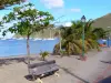 Plage de Grande Anse d'Arlet - Plage de sable agrémentée de végétaux, banc, lampadaire et baie parsemée de bateaux