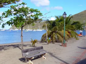 Plage de Grande Anse d'Arlet - Sandy beach with plants, bench, floor and bay dotted with boats