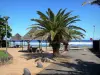 Plage de Grands Bois - Picknick kiosken omzoomd met palmbomen, met uitzicht op de Indische Oceaan