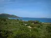 Plage de Palombaggia - Vue d'ensemble sur arbres, pins parasols, mer méditerranée et îles Cerbicale (réserve naturelle) en arrière-plan