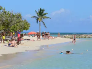 Plages de la Guadeloupe - Plage du Bourg de Sainte-Anne, sur l'île de la Grande-Terre : farniente sur le sable et baignade dans le lagon