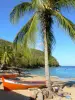 Plages de la Martinique - Plage de l'anse Dufour avec son sable blond, ses palmiers et ses barques de pêcheurs ; sur la commune des Anses-d'Arlet