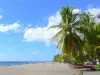 Plages de la Martinique - Plage du Coin, avec son sable gris, ses cocotiers et la mer des Caraïbes ; sur la commune du Carbet
