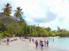 Plages de la Martinique - Détente sur la plage de sable de l'anse Figuier bordée d'arbres et de cocotiers ; sur la commune de Rivière-Pilote