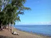 Plages de La Réunion - Schaduwrijke strand van Saint-Leu casuarinabomen met uitzicht op de Indische Oceaan