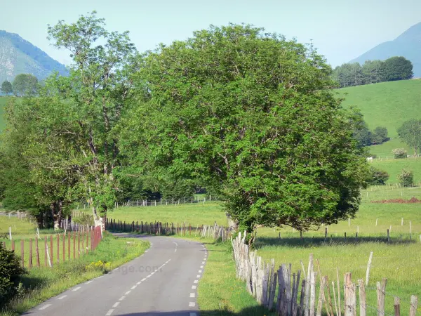 O planalto de Benou - Guia de Turismo, férias & final de semana nos Pirenéus Atlânticos