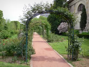 Plantentuin - Alley van de Rose Garden