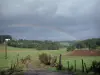 Plateau van Vivarais-Lignon - Pad omzoomd met weilanden met uitzicht op een regenboog die een bos overspant