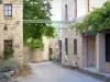 Le Poët-Laval - Maisons en pierre du vieux village