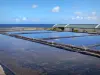 Pointe au Sel - Zout op de rand van de Indische Oceaan