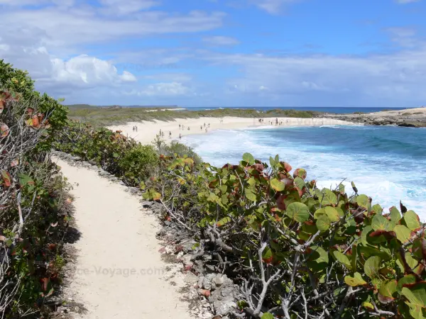 Pointe des Châteaux - Sentier de la pointe des Châteaux avec vue sur la plage de l'anse des Châteaux et l'océan Atlantique ; sur la commune de Saint-François et l'île de la Grande-Terre