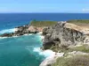 Pointe des Châteaux - Falaises et rochers de la pointe des Châteaux avec vue sur l'océan Atlantique